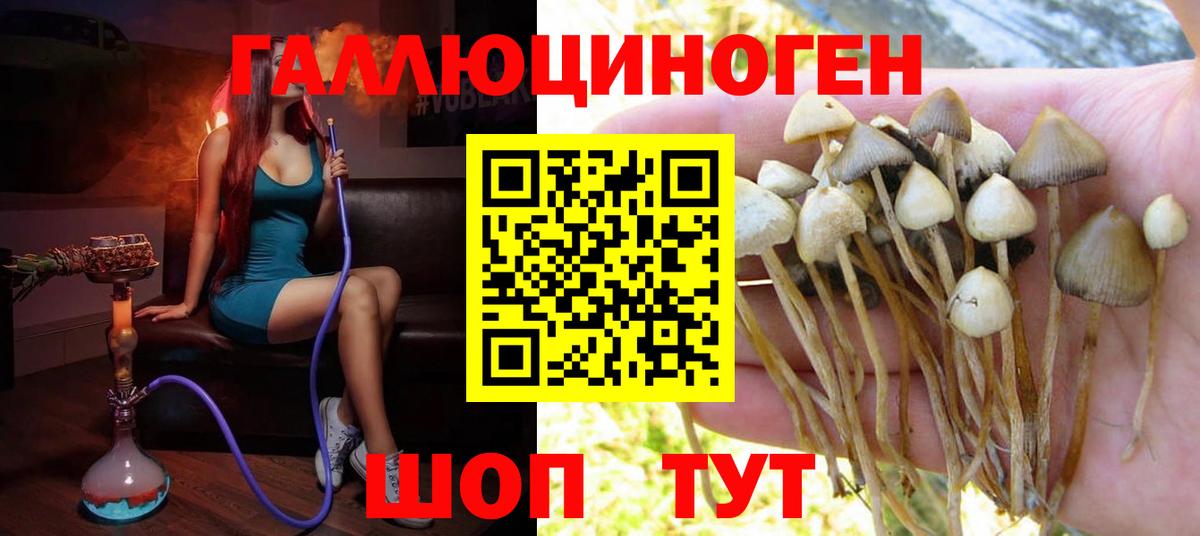Псилоцибиновые грибы Psilocybe  Вход с VPN  Изобильный  Галлюциногенные грибы мицелий 